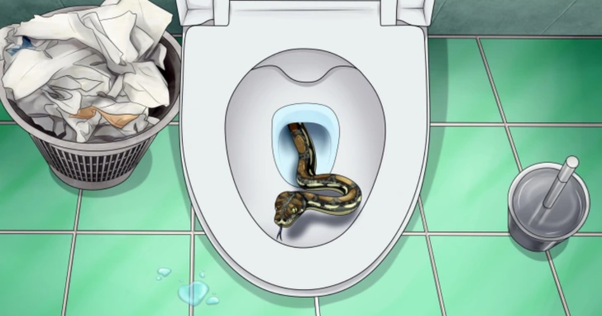 5 Creatures That Can Crawl In Through Your Toilet and How to Stop Them